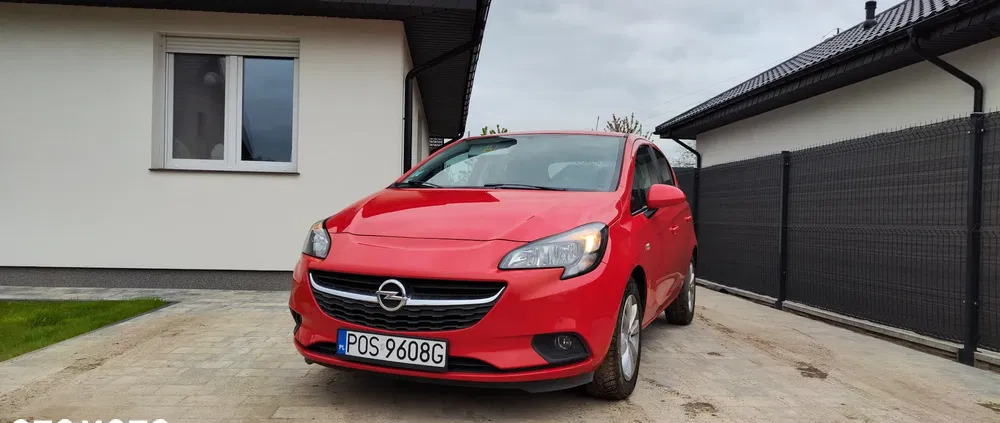 opel corsa rajgród Opel Corsa cena 33900 przebieg: 64100, rok produkcji 2016 z Rajgród